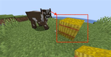 what do cows eat in minecraft